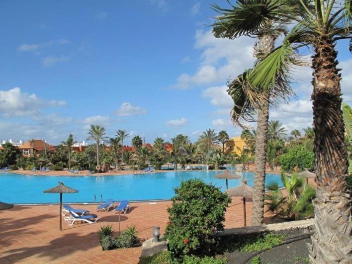 קורלחו Oasis Tamarindo By Best Holidays Fuerteventura מראה חיצוני תמונה