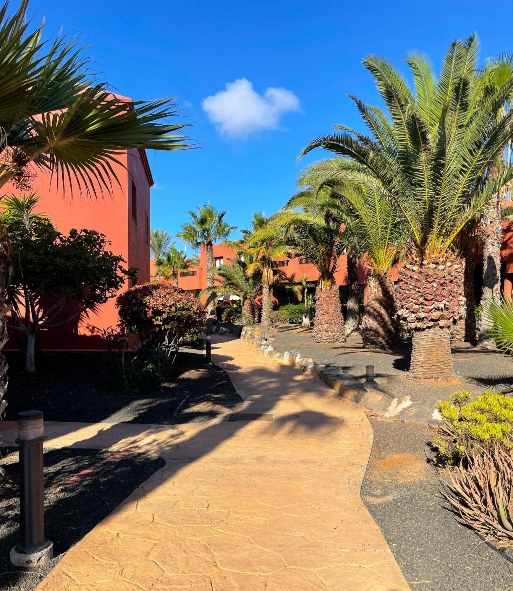 קורלחו Oasis Tamarindo By Best Holidays Fuerteventura מראה חיצוני תמונה