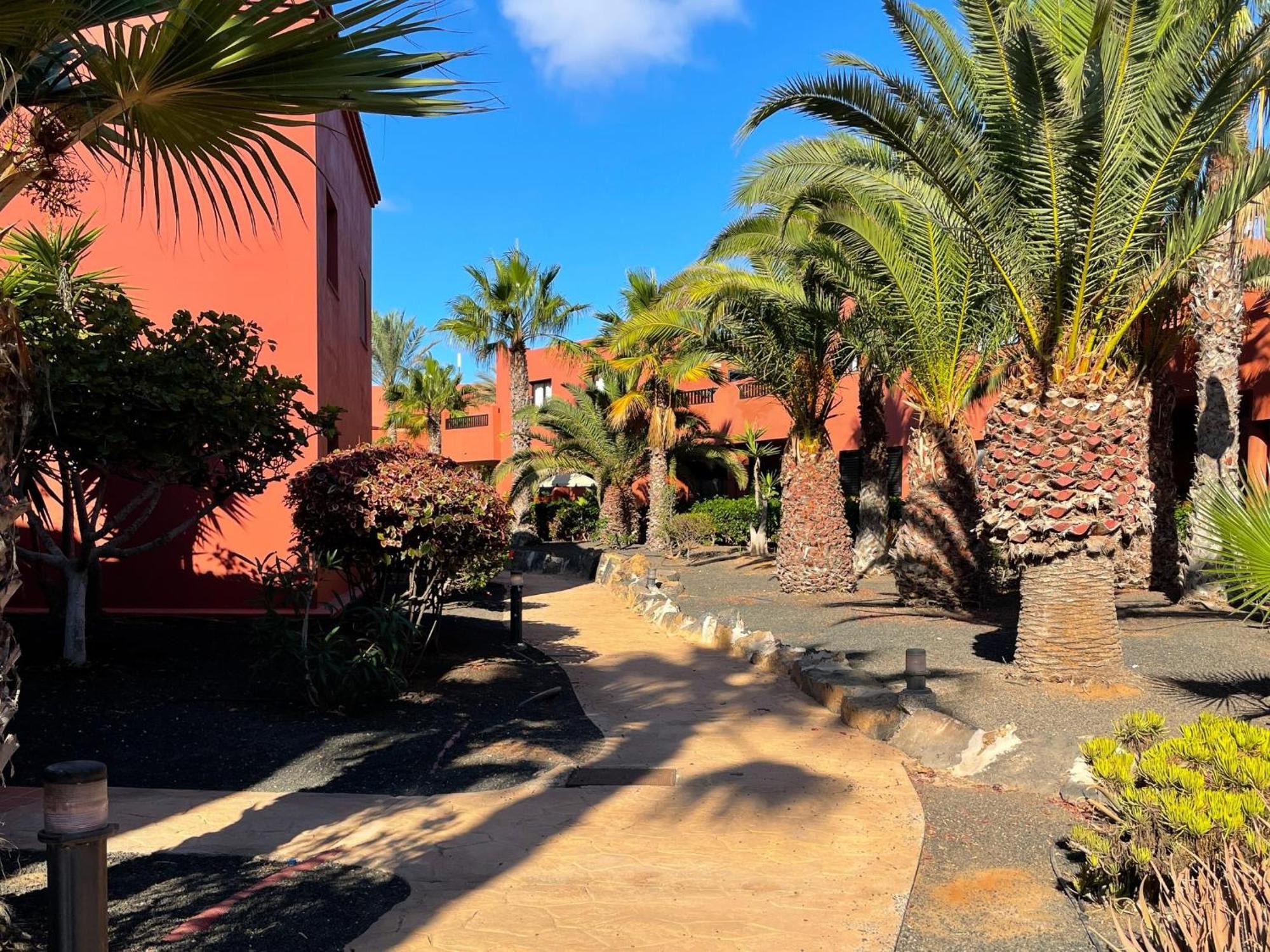 קורלחו Oasis Tamarindo By Best Holidays Fuerteventura חדר תמונה