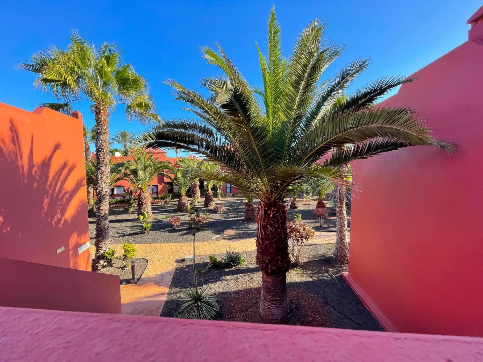 קורלחו Oasis Tamarindo By Best Holidays Fuerteventura חדר תמונה